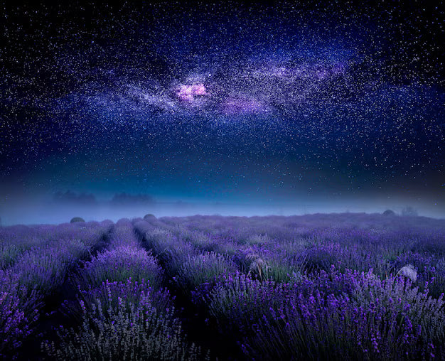 Crie um Ritual Noturno Relaxante com Óleo Essencial de Lavanda 🌙
