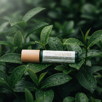 Óleo Essencial Melaleuca (Tea Tree)